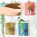 Wooden Wall Hanging Plant Terrarium Glass Planter Container，Creative Home Wall Decoration,Entryway Hallway Living Room Office Bedroom Decoration Orange   